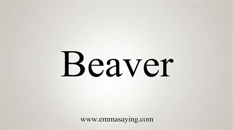 beaver urban dictionary|what does beaver mean slang.